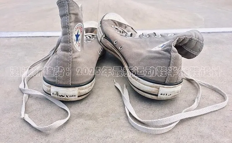 XC网页版入口