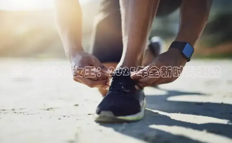 XCSport网页版入口