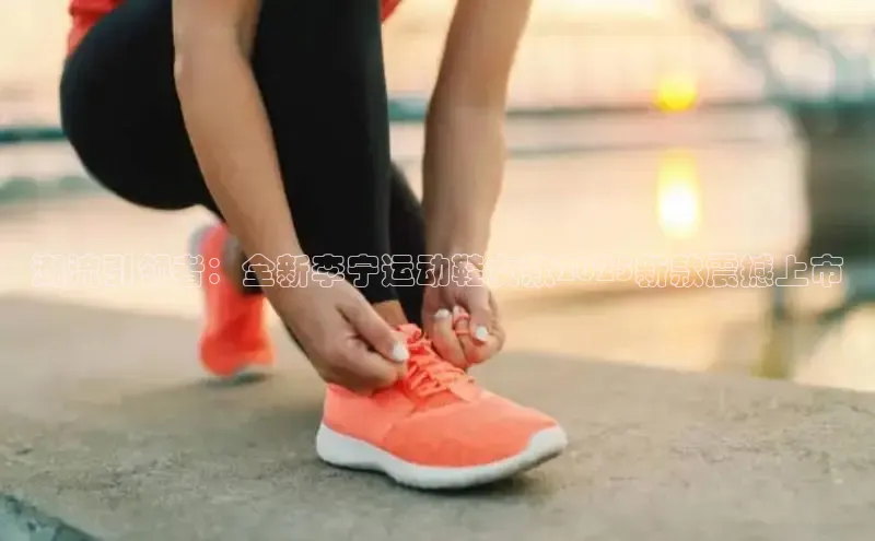 XC网页版入口